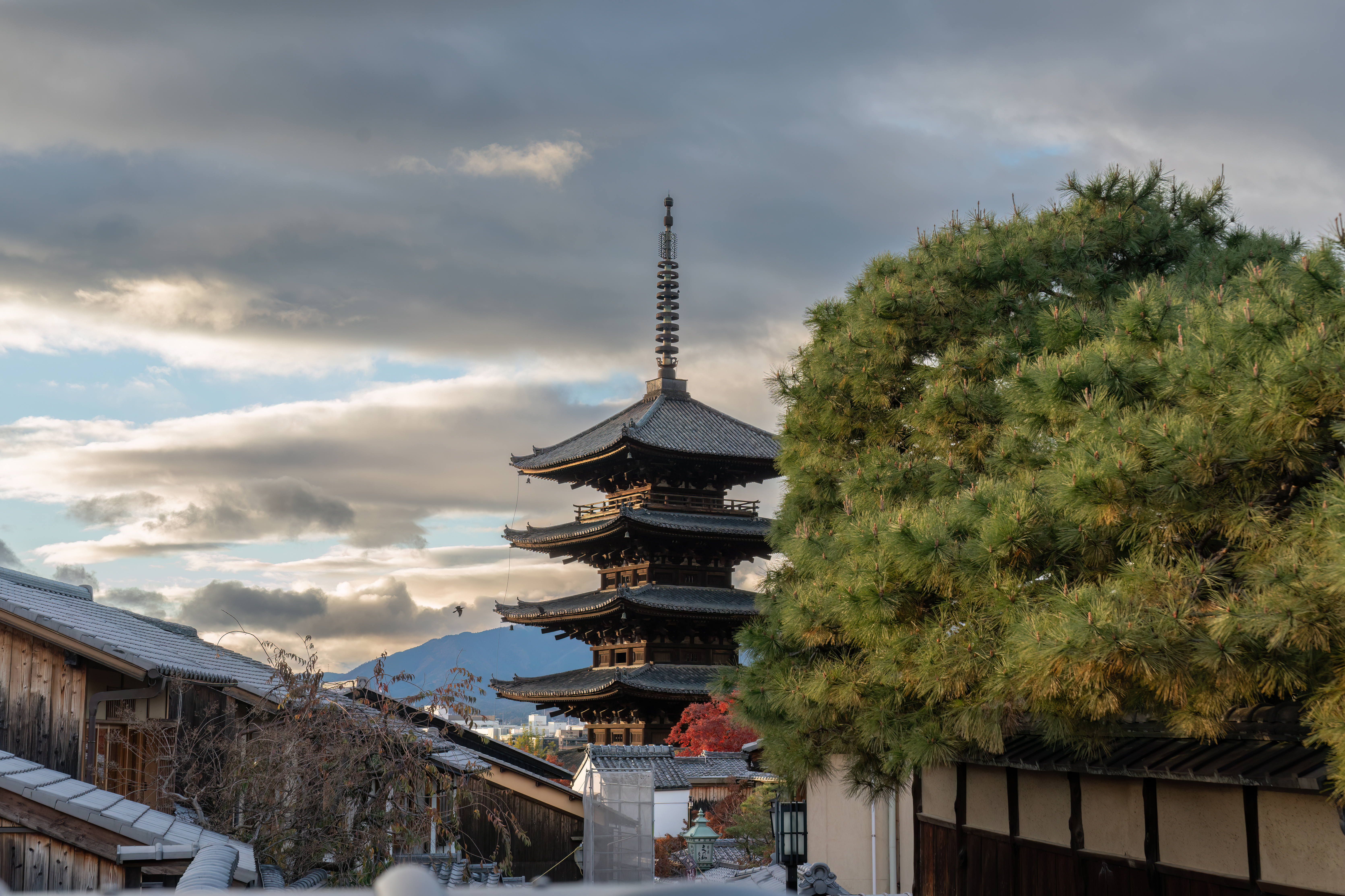 悩みを解決する寺院・神社の新しい集客法